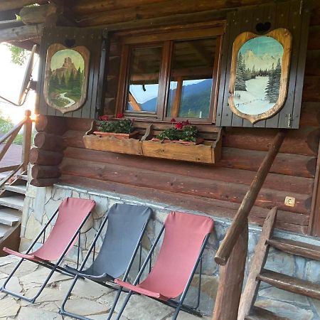 Cabana Vanatorului Rîşnov エクステリア 写真