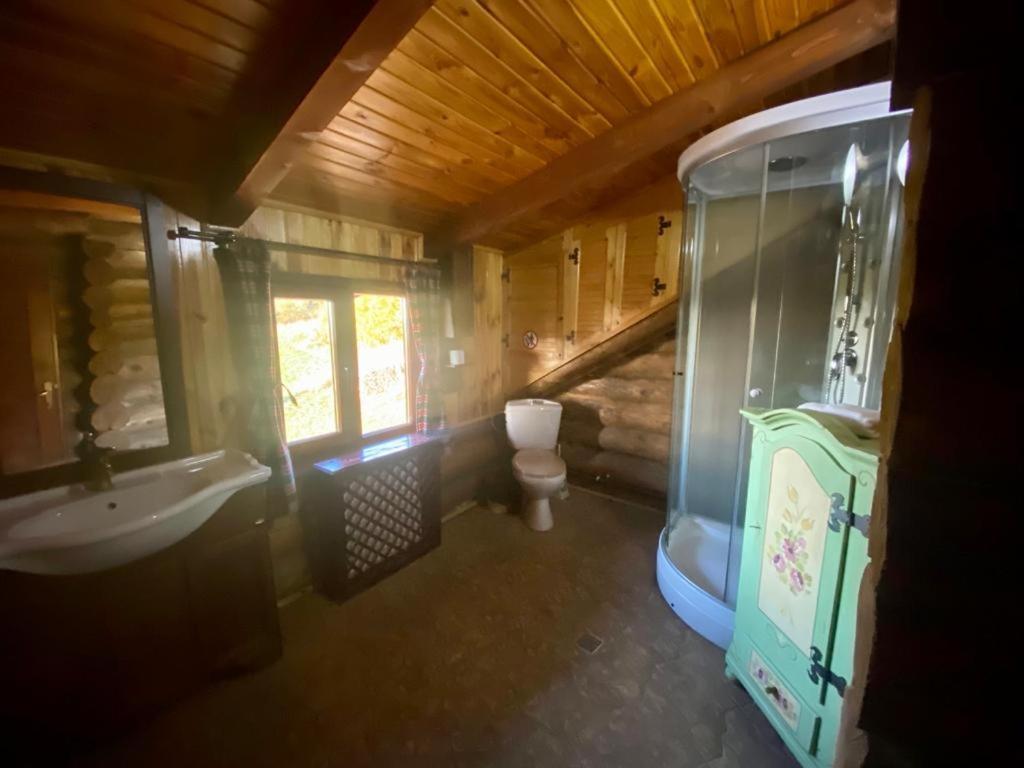 Cabana Vanatorului Rîşnov エクステリア 写真