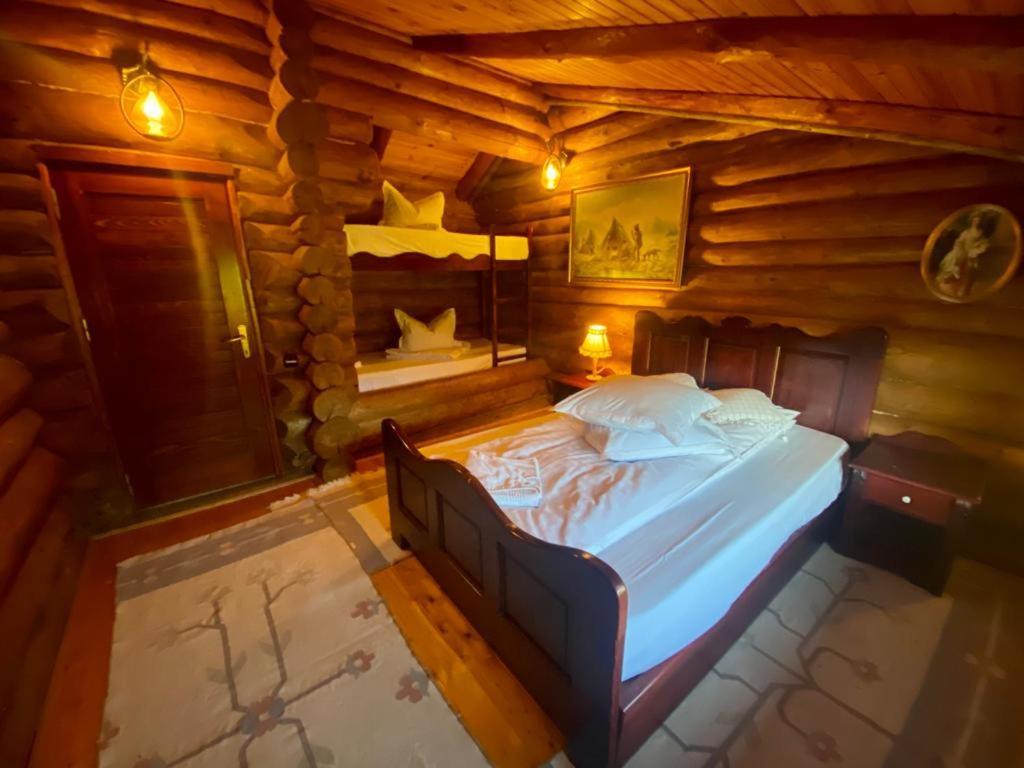 Cabana Vanatorului Rîşnov エクステリア 写真