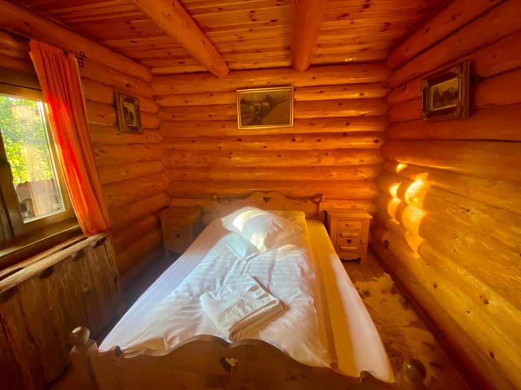 Cabana Vanatorului Rîşnov エクステリア 写真