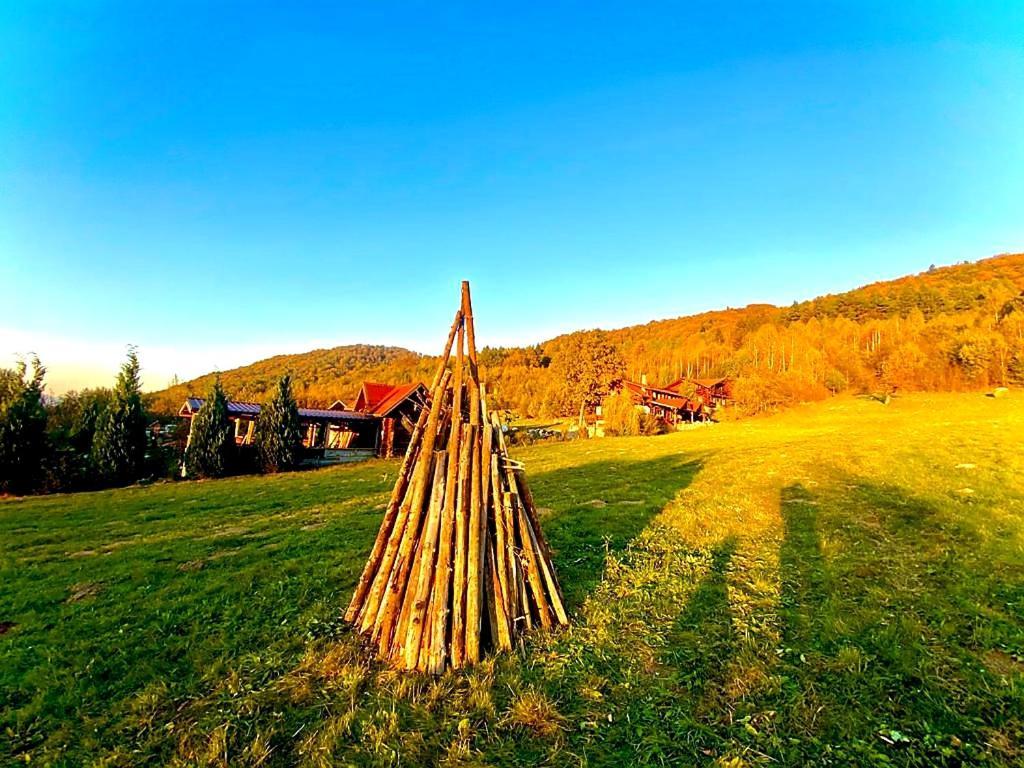 Cabana Vanatorului Rîşnov エクステリア 写真