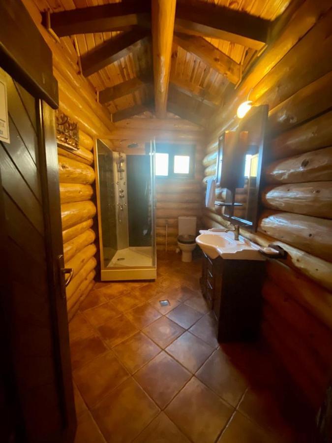 Cabana Vanatorului Rîşnov エクステリア 写真