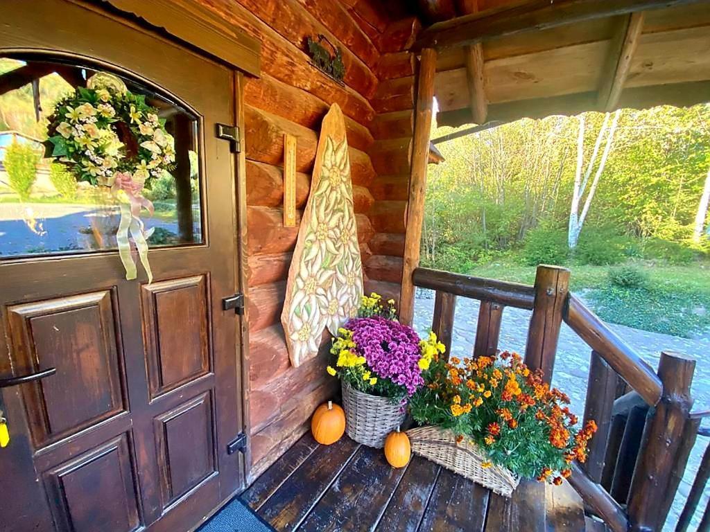 Cabana Vanatorului Rîşnov エクステリア 写真
