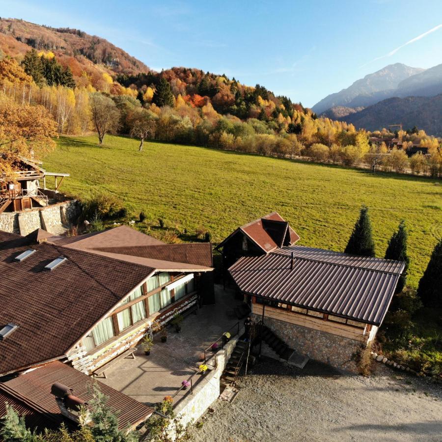Cabana Vanatorului Rîşnov エクステリア 写真