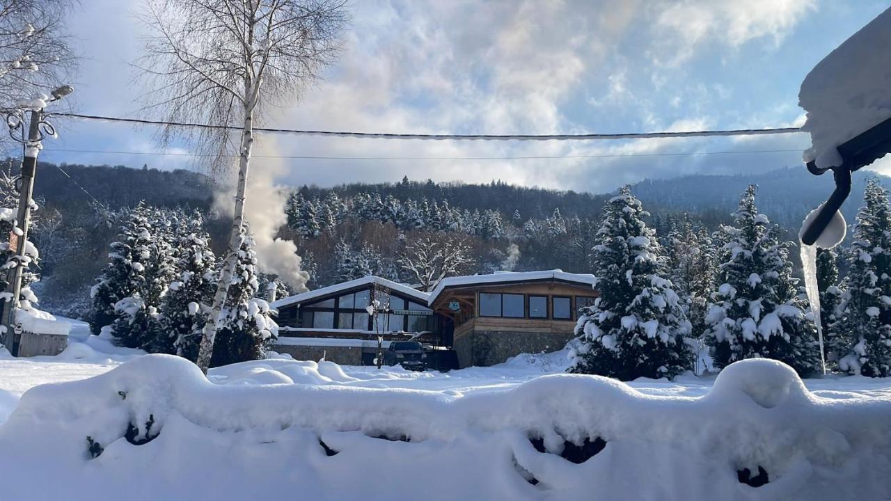 Cabana Vanatorului Rîşnov エクステリア 写真