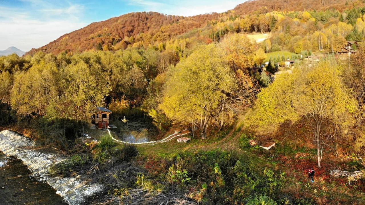 Cabana Vanatorului Rîşnov エクステリア 写真