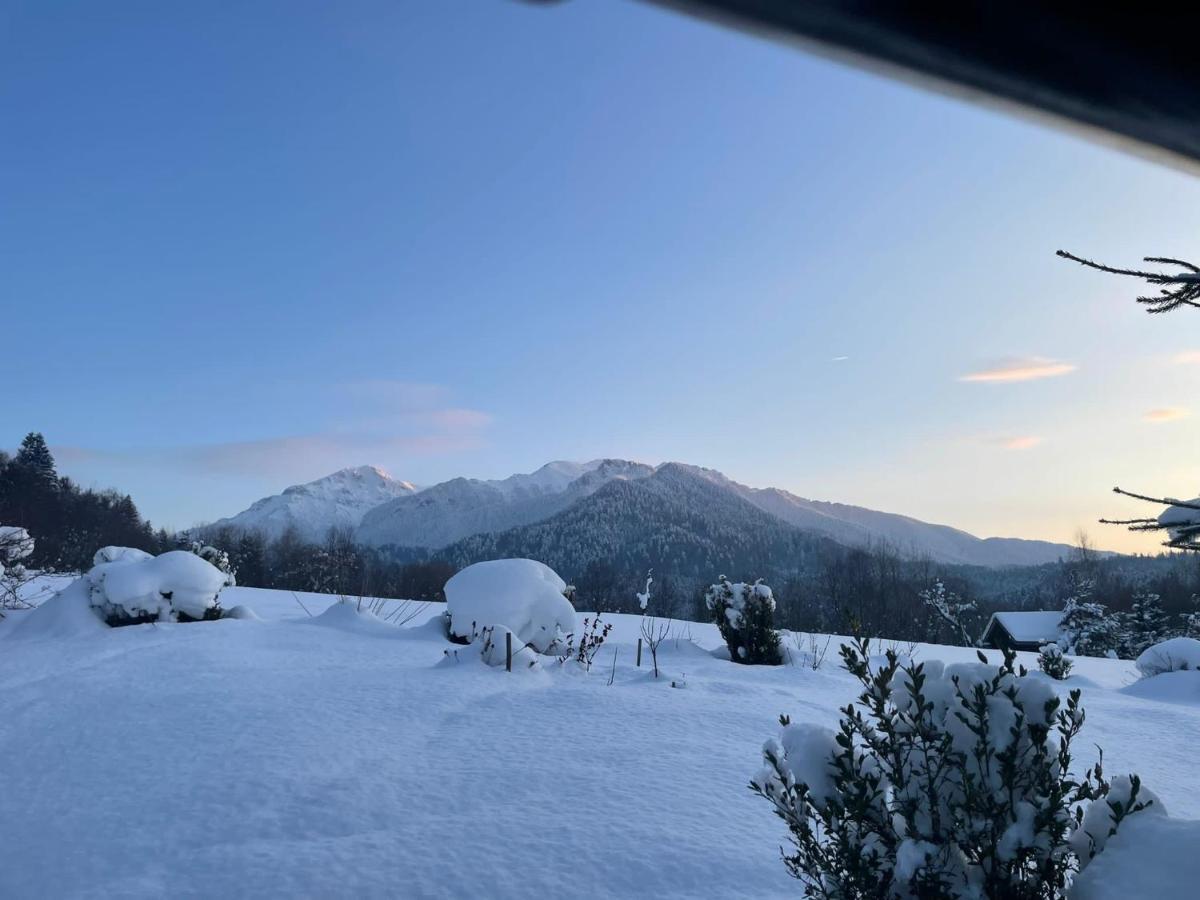 Cabana Vanatorului Rîşnov エクステリア 写真