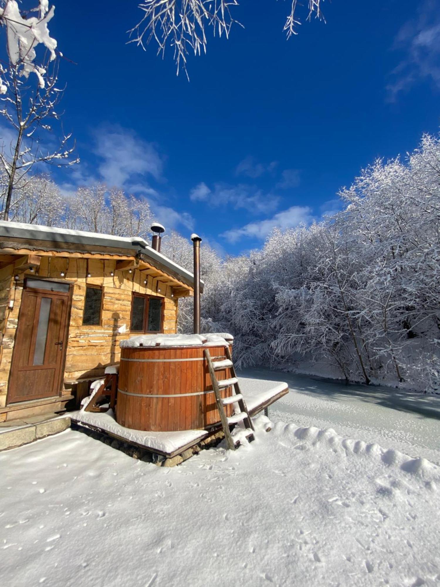 Cabana Vanatorului Rîşnov エクステリア 写真