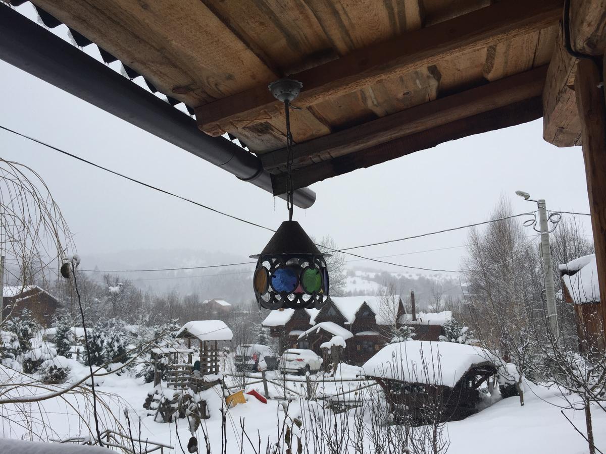 Cabana Vanatorului Rîşnov エクステリア 写真