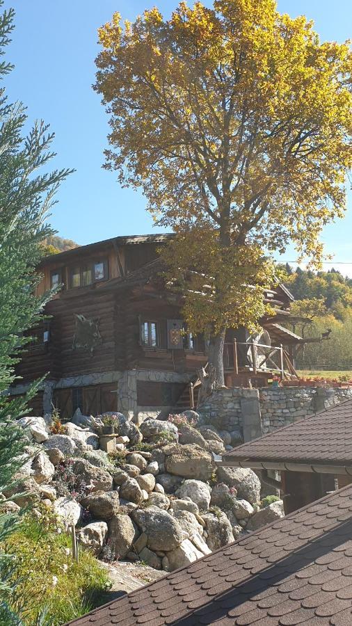 Cabana Vanatorului Rîşnov エクステリア 写真