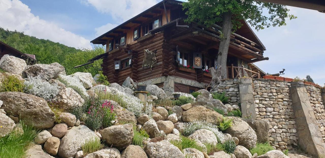 Cabana Vanatorului Rîşnov エクステリア 写真